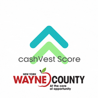 cashVest Score Wayne County NY
